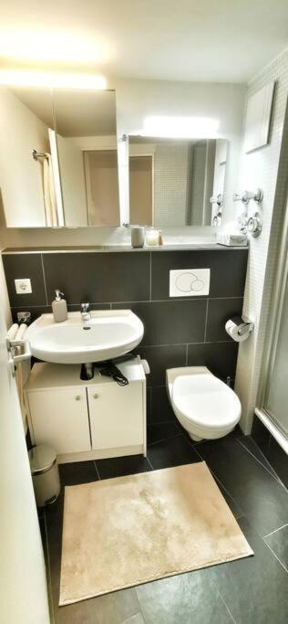 Schoenes Apt In Zentraler Lage ไฟรบวร์กอิมไบรส์เกา ภายนอก รูปภาพ
